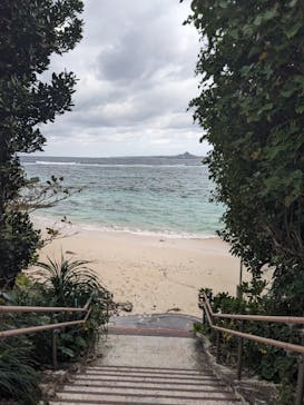 沖縄美ら海水族館に投稿された画像（2026/1/8）