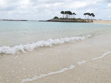 沖縄美ら海水族館に投稿された画像（2026/1/8）