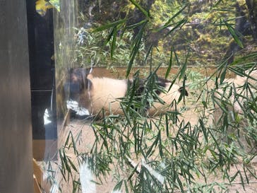 恩賜上野動物園に投稿された画像（2026/1/8）