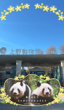 恩賜上野動物園に投稿された画像（2026/1/8）