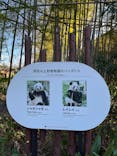 恩賜上野動物園に投稿された画像（2026/1/8）