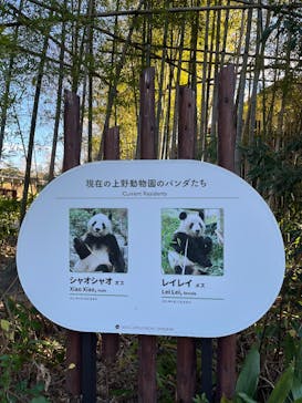 恩賜上野動物園に投稿された画像（2026/1/8）