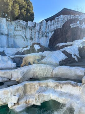 恩賜上野動物園に投稿された画像（2026/1/8）