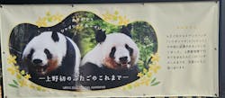 恩賜上野動物園に投稿された画像（2026/1/8）