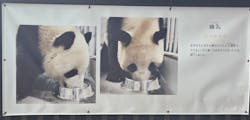 恩賜上野動物園に投稿された画像（2026/1/8）