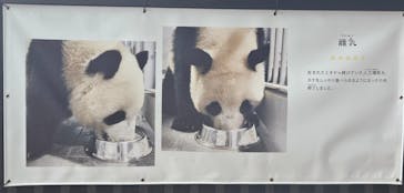 恩賜上野動物園に投稿された画像（2026/1/8）