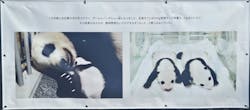 恩賜上野動物園に投稿された画像（2026/1/8）