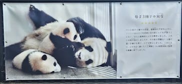 恩賜上野動物園に投稿された画像（2026/1/8）