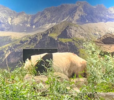 恩賜上野動物園に投稿された画像（2026/1/8）