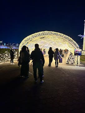 東京メガイルミに投稿された画像（2026/1/8）