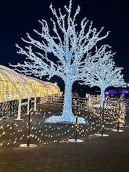 東京メガイルミに投稿された画像（2026/1/8）