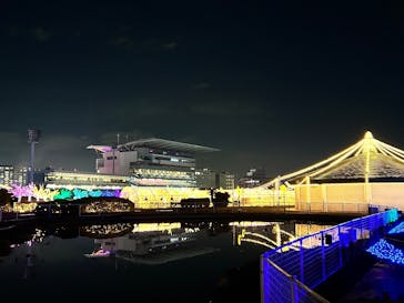 東京メガイルミに投稿された画像（2026/1/8）