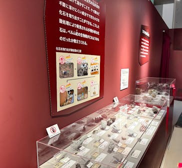 特別展「大絶滅展―生命史のビッグファイブ」に投稿された画像（2026/1/8）