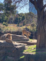 天王寺動物園に投稿された画像（2026/1/8）