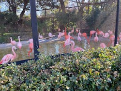天王寺動物園に投稿された画像（2026/1/8）