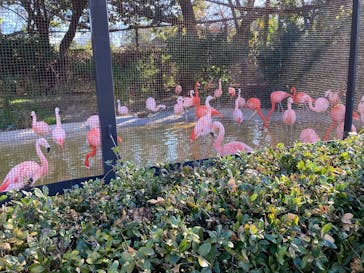 天王寺動物園に投稿された画像（2026/1/8）