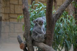 名古屋市東山動植物園に投稿された画像（2026/1/8）