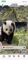 恩賜上野動物園に投稿された画像（2026/1/8）