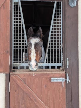 ノーザンホースパークに投稿された画像（2026/1/9）