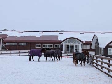 ノーザンホースパークに投稿された画像（2026/1/9）