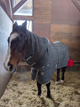 ノーザンホースパークに投稿された画像（2026/1/9）