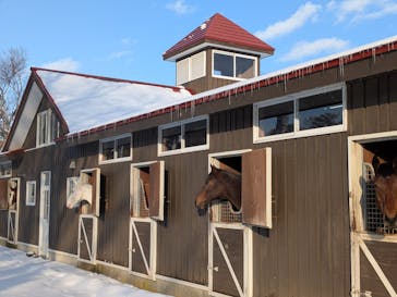 ノーザンホースパークに投稿された画像（2026/1/9）