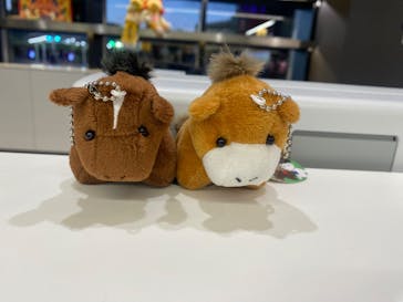 東京メガイルミに投稿された画像（2026/1/9）