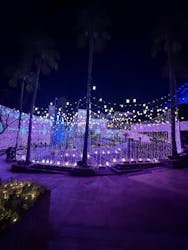 ひらかたパークに投稿された画像（2026/1/9）