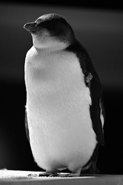 AOAO SAPPOROに投稿された画像（2026/1/9）