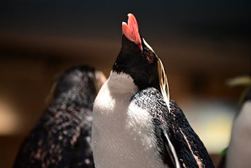 AOAO SAPPOROに投稿された画像（2026/1/9）