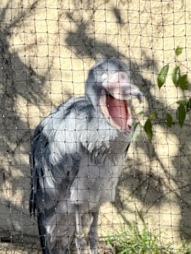 恩賜上野動物園に投稿された画像（2026/1/9）