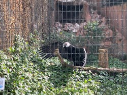 天王寺動物園に投稿された画像（2026/1/9）