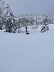 網張温泉スキー場に投稿された画像（2026/1/9）