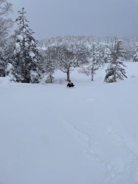 網張温泉スキー場に投稿された画像（2026/1/9）