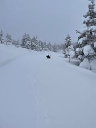 網張温泉スキー場に投稿された画像（2026/1/9）