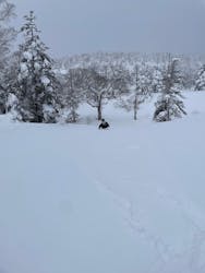 網張温泉スキー場に投稿された画像（2026/1/9）