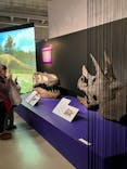 特別展「大絶滅展―生命史のビッグファイブ」に投稿された画像（2026/1/9）