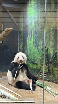 恩賜上野動物園に投稿された画像（2026/1/9）