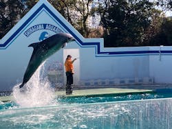 しながわ水族館に投稿された画像（2026/1/9）