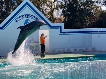 しながわ水族館に投稿された画像（2026/1/9）