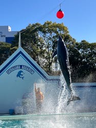 しながわ水族館に投稿された画像（2026/1/9）