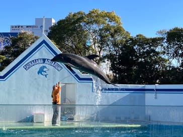 しながわ水族館に投稿された画像（2026/1/9）