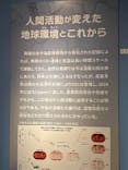 特別展「大絶滅展―生命史のビッグファイブ」に投稿された画像（2026/1/9）