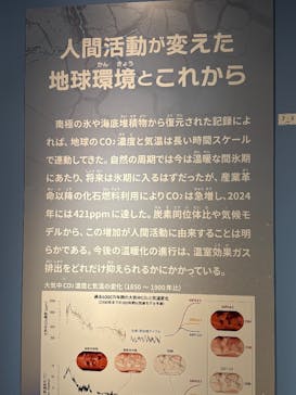 特別展「大絶滅展―生命史のビッグファイブ」に投稿された画像（2026/1/9）