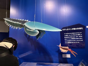 特別展「大絶滅展―生命史のビッグファイブ」に投稿された画像（2026/1/9）
