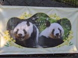 恩賜上野動物園に投稿された画像（2026/1/9）