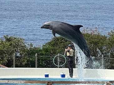 沖縄美ら海水族館に投稿された画像（2026/1/9）