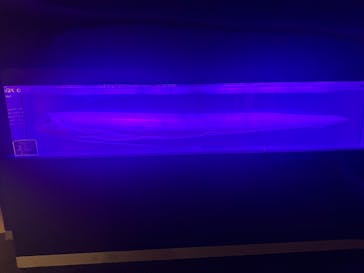 マリンワールド海の中道に投稿された画像（2026/1/9）