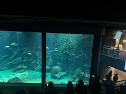 マリンワールド海の中道に投稿された画像（2026/1/9）