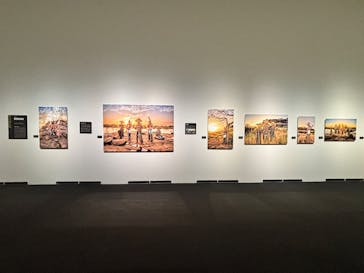 ヨシダナギ写真展　HEROES-RELOADED-に投稿された画像（2026/1/9）